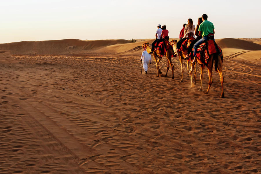 Hop on a camel and cruise in the vast desert