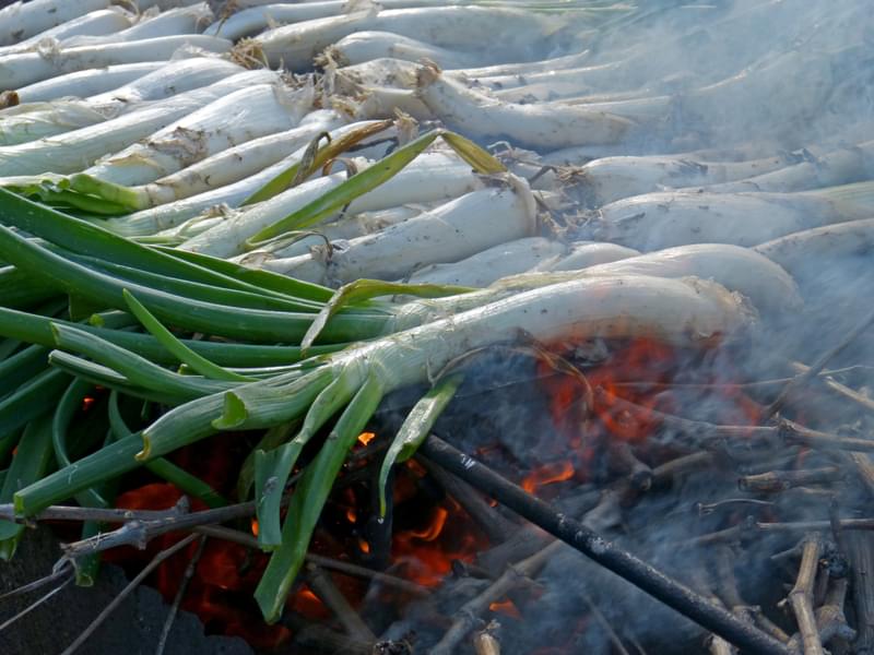 Calçots and Romesco Sauce