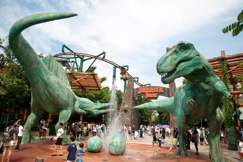 Activity & SightSeeing Image