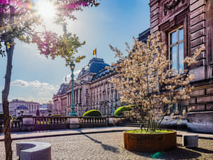 Brussels, Bruges and Beach