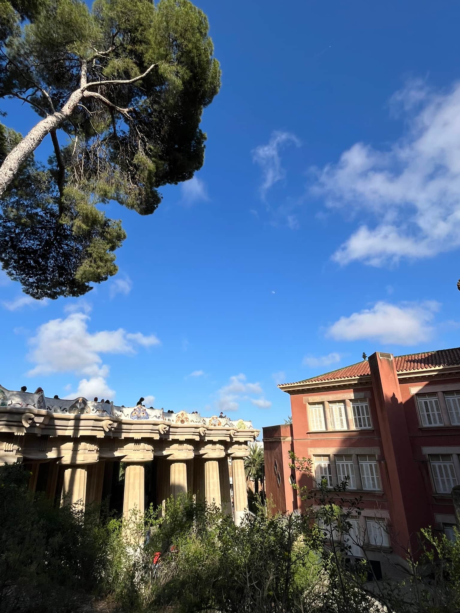 Photo from Sinem Acıgöl's trip