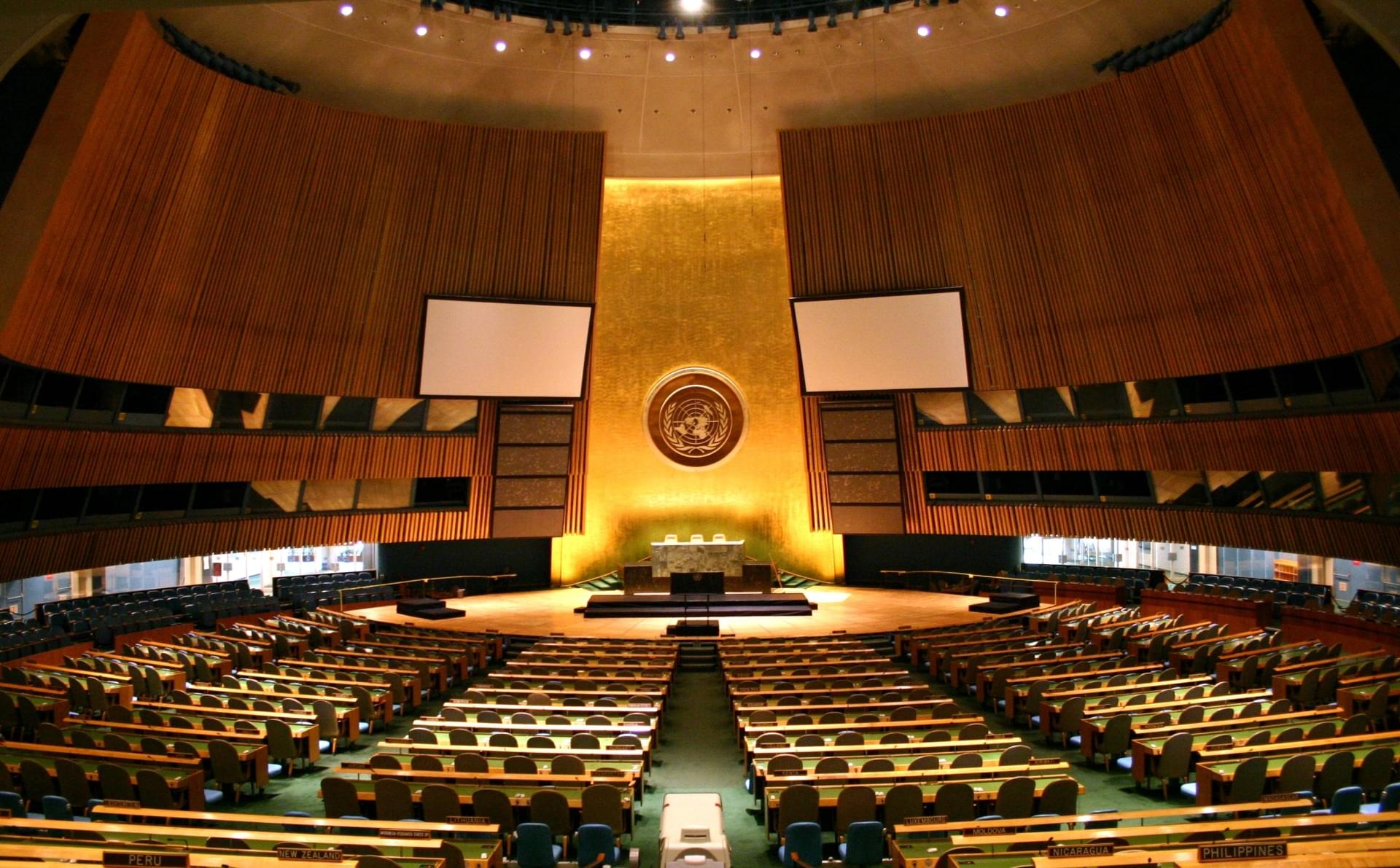 United Nations Organization Overview