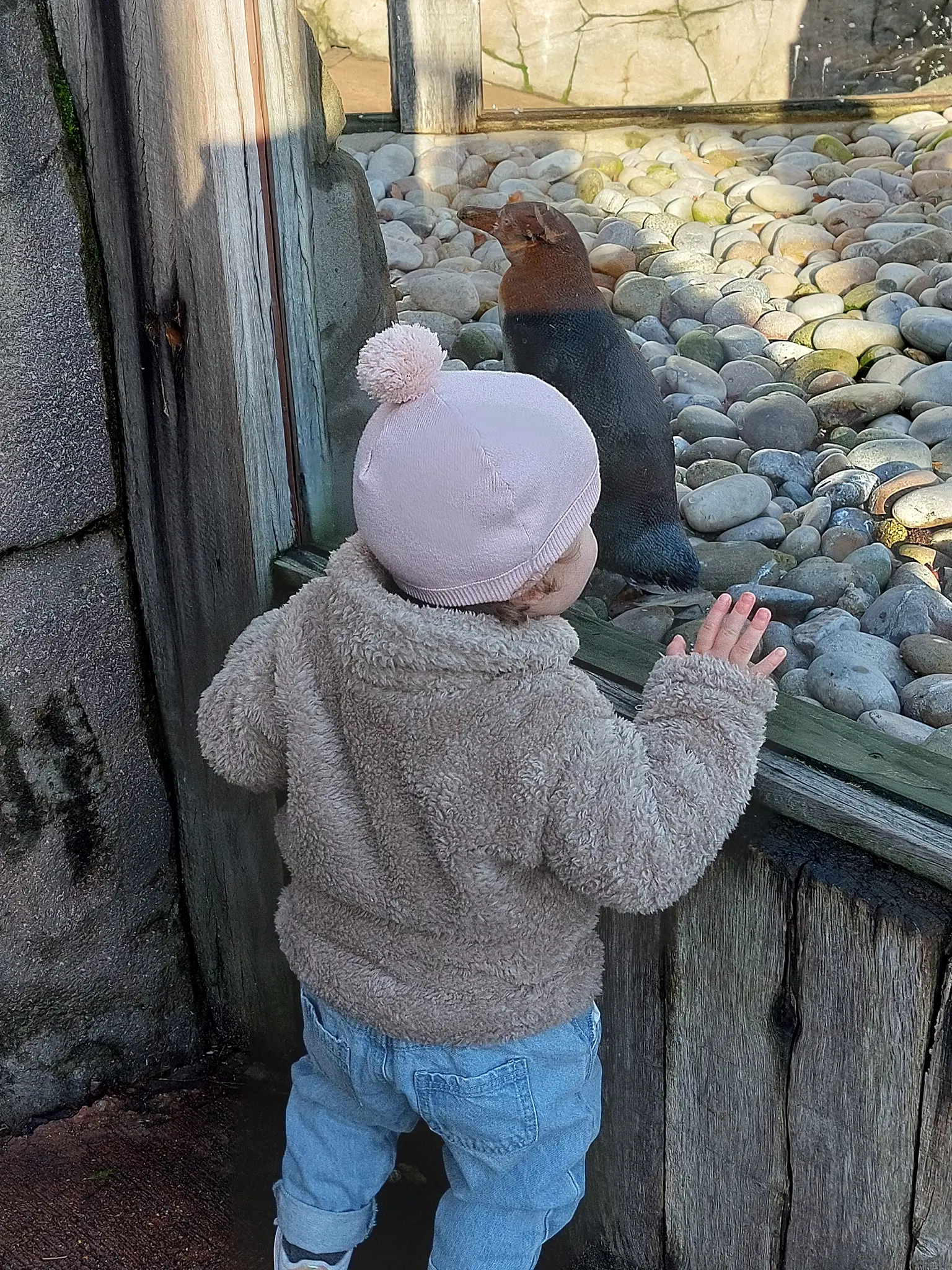 Photo from Angela 's trip