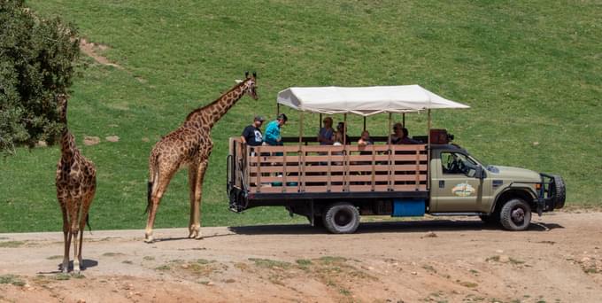 San Diego Zoo Safari Park 1.jpg