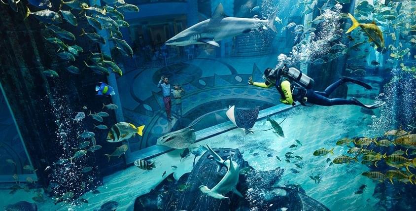 Atlantis Dive Explorer