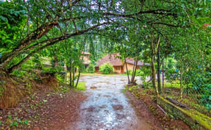 Entrance View of the Homestay
