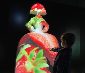 Let your kids have fun