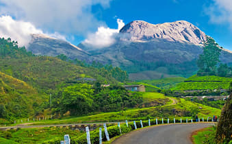 Tgs1g5bxoqfd77kjm8fr91zkbblt 640px munnar hillstation kerala