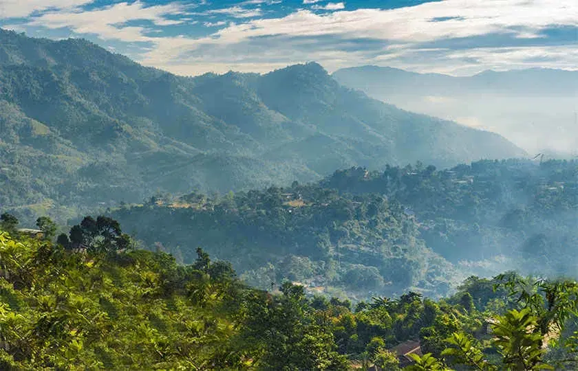 Diphu