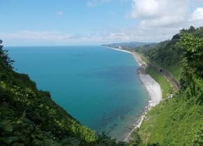 Tgyof99bkg4wyneba0n6l0u256zu batumi, georgia %e2%80%94 botanical garden