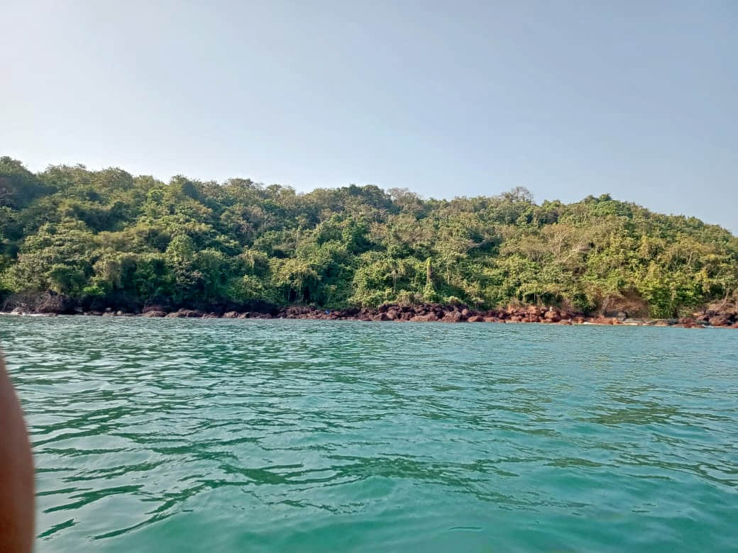 Photo from Mihir Shah's trip