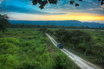 Enjoy a jeep ride through the UNESCO-Listed Kaziranga National Park