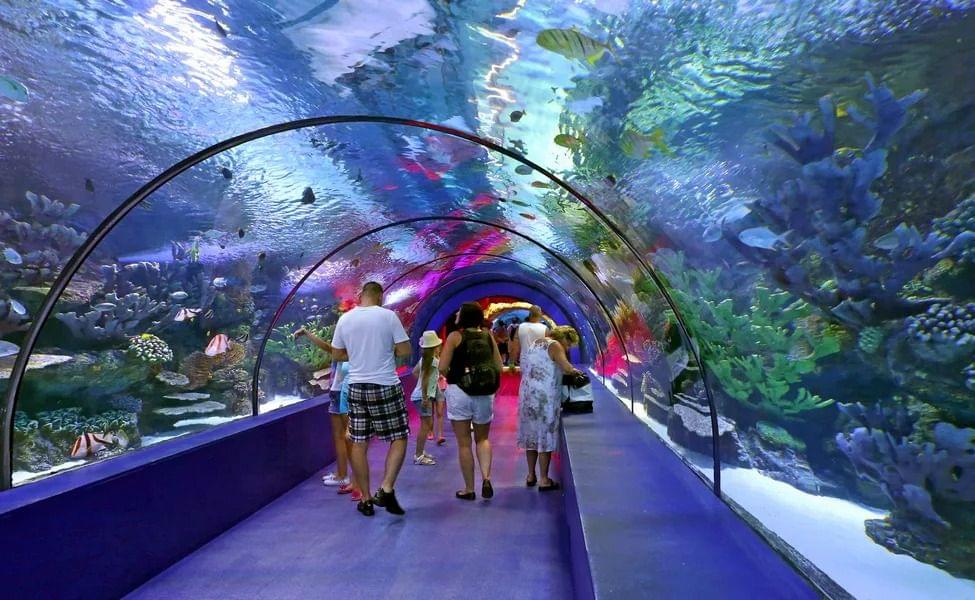 Antalya Aquarium