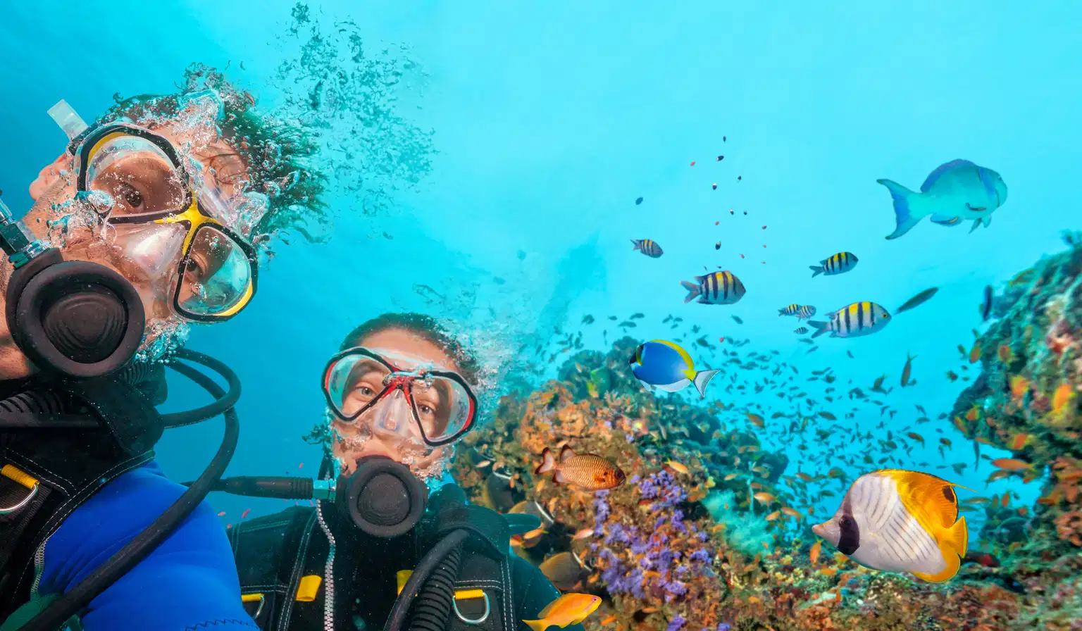 Scuba Diving In Pattaya (For Beginners)
