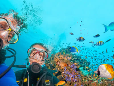 Have a unique experience while scuba diving in Pattaya