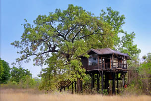 Pench Tree Lodge, Pench