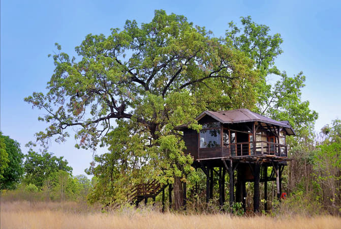 Pench Tree Lodge, Pench
