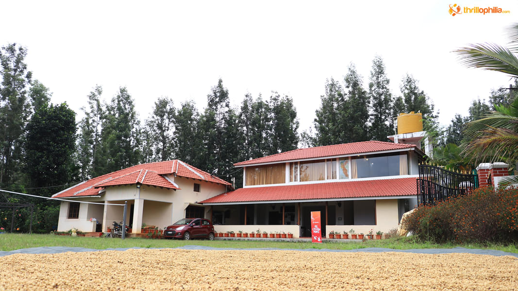 A Serene Homestay Amidst Coffee Gardens of Chikmagalur Image