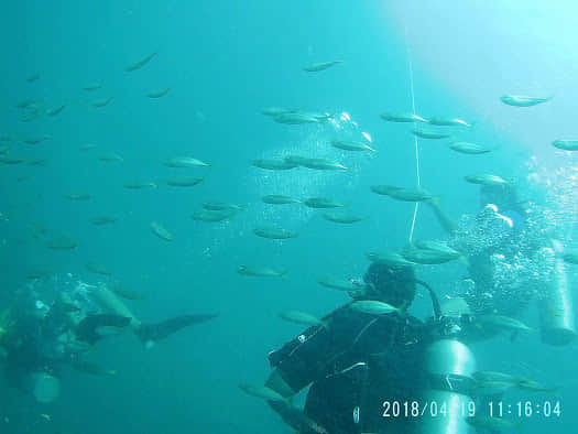 Photo from Bhanukiran Paravastu's trip