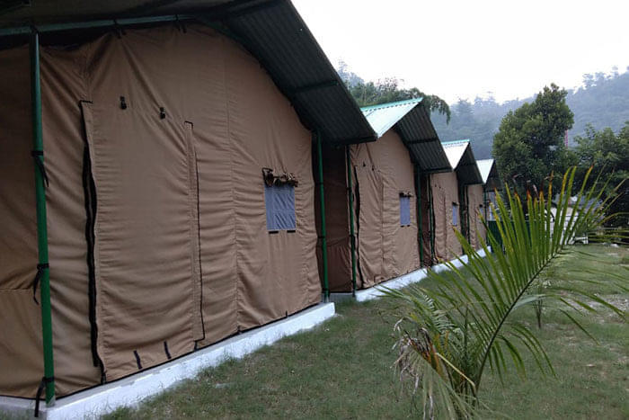 Experience the Joy of Camping 