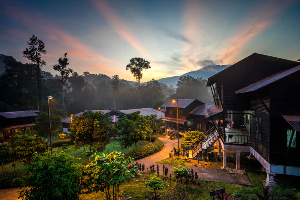 Taman Negara