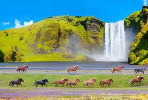 Tj4bu77fbowai84lj32ksqzti62f 7xm.xyz241155