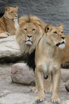 Tj8m97r40r6rercljpt2nxp82wt7 z3