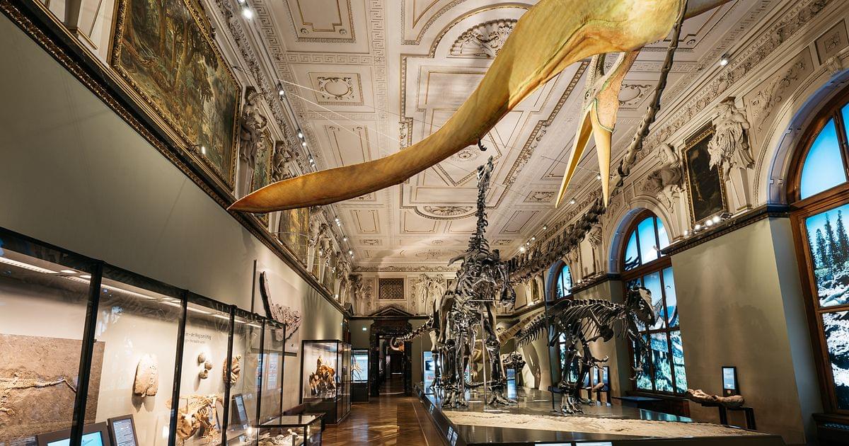 Discover Natural History Museum Vienna Collection of Anatomical Pathology