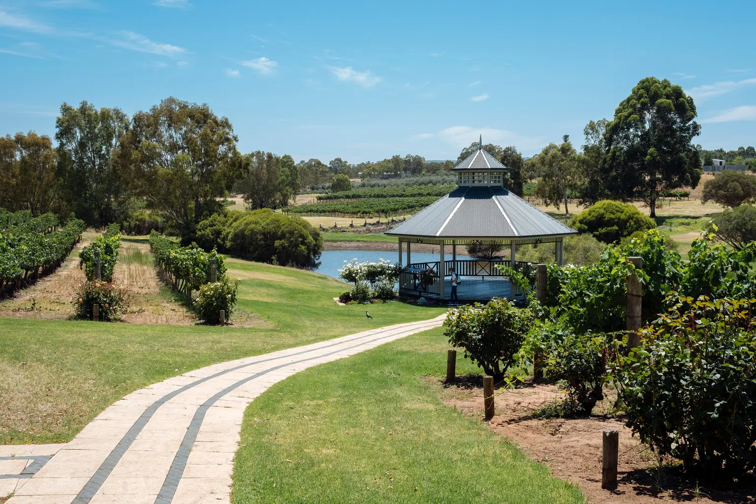 Swan Valley