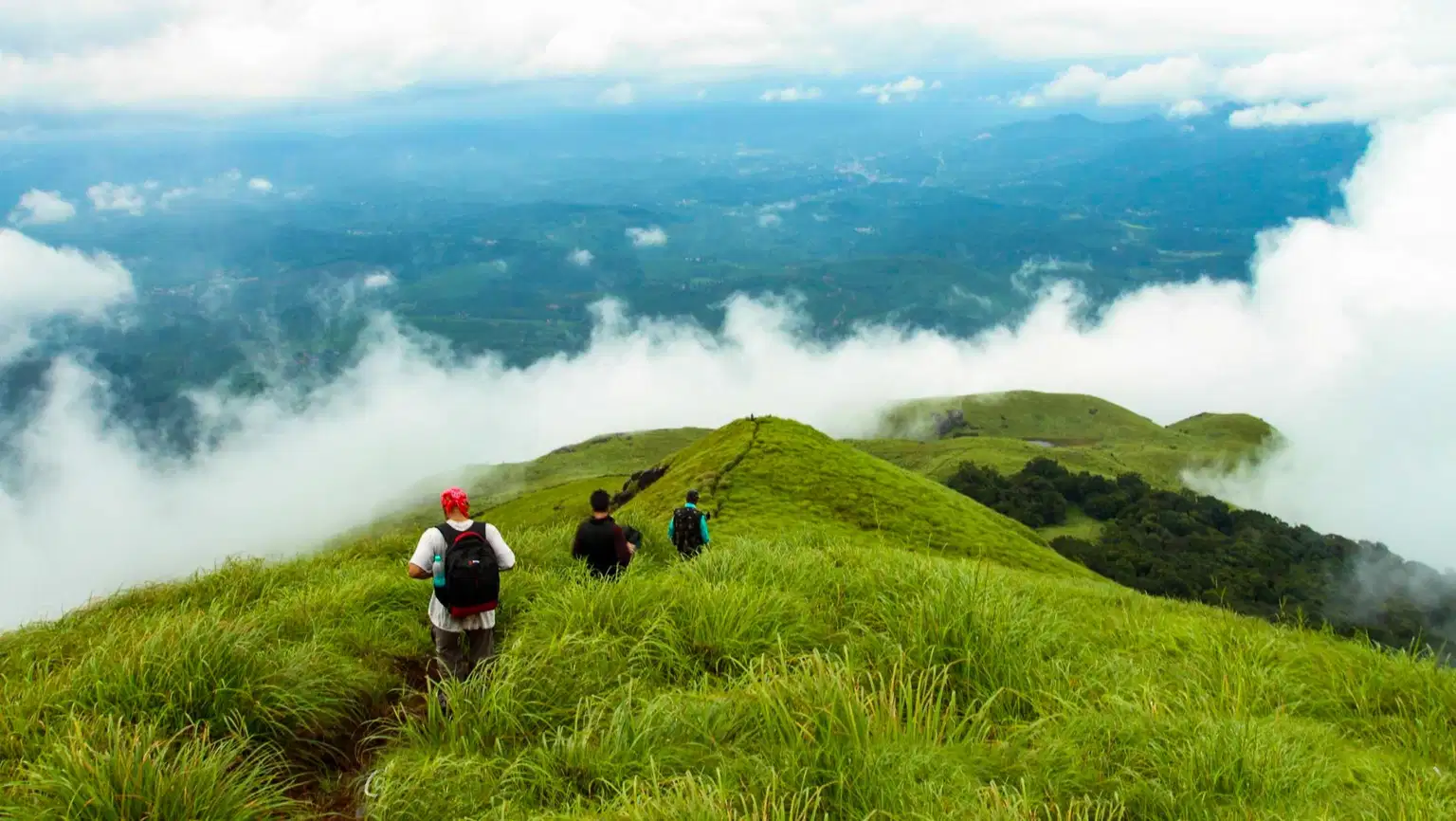 Chembra Peak Trek, Wayanad