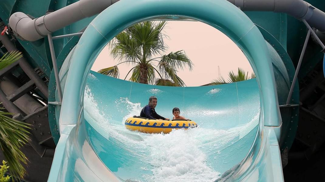  Enjoy at the loop while you swirl your way down