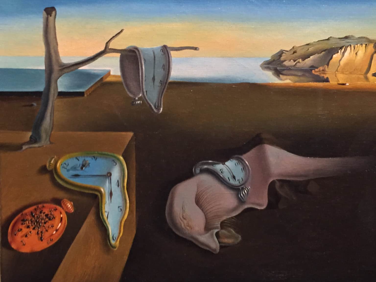 The Persistence of Memory
