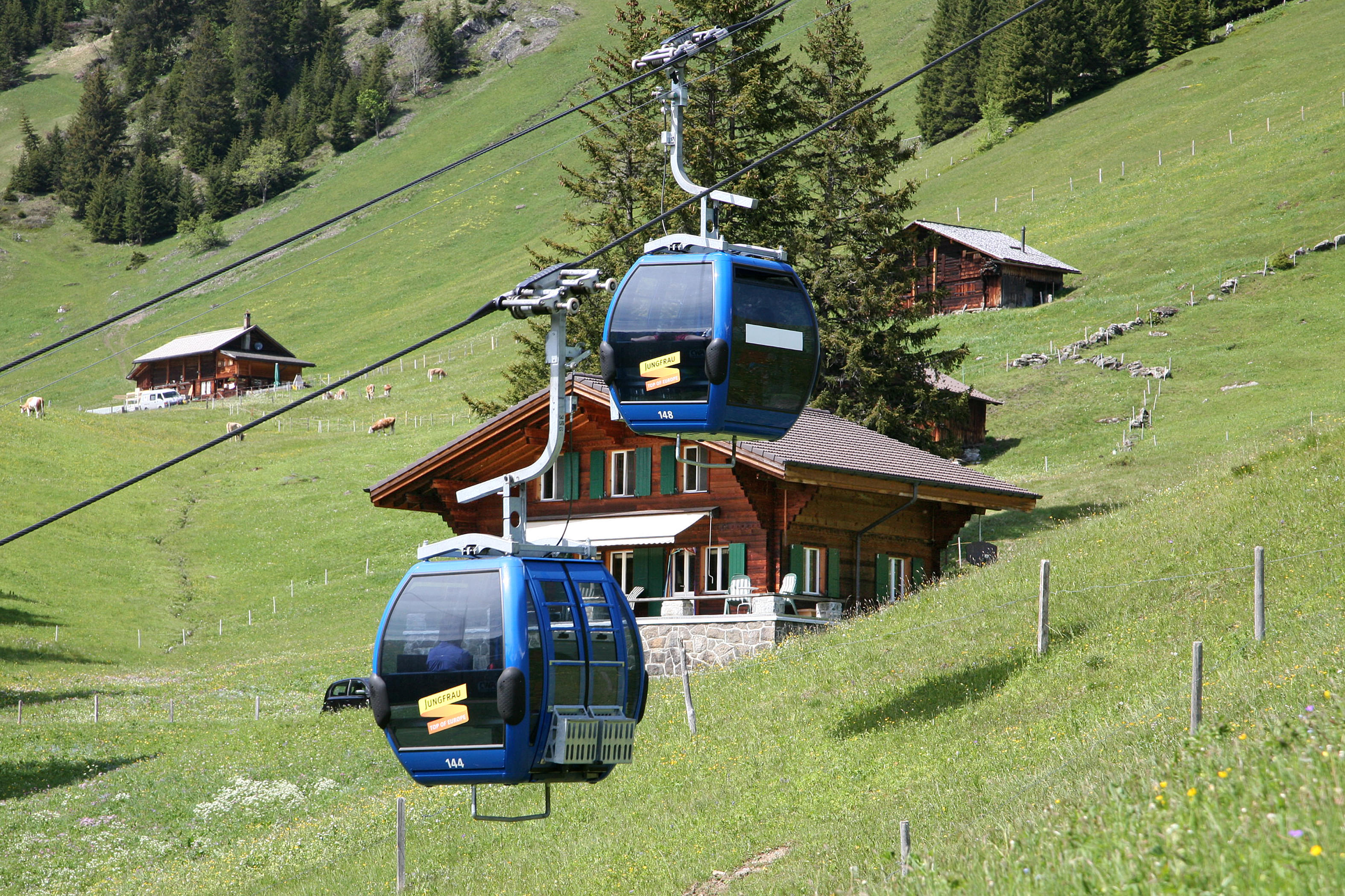 Cable Cars at Grindelwald First