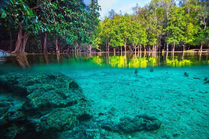 Thung Teao Forest Natural Park, <em>Krabi</em>