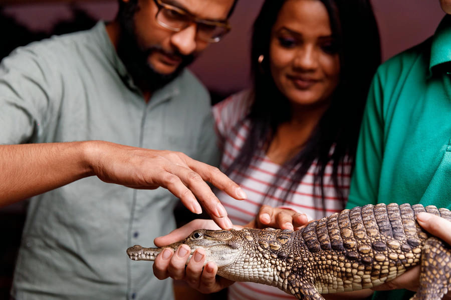 Conquer your fears and experience animals up close