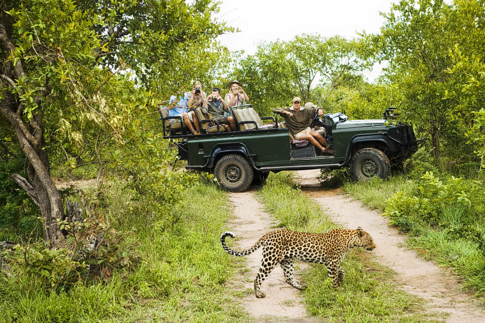 Ranakpur Jungle Safari, <em>Ranakpur</em>