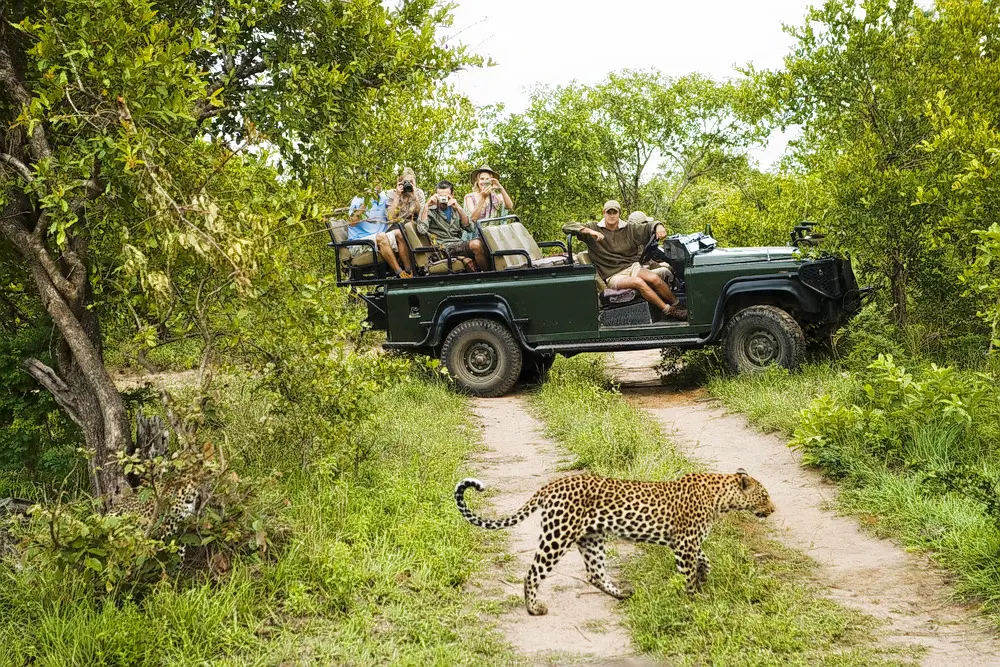 Ranakpur Jungle Safari