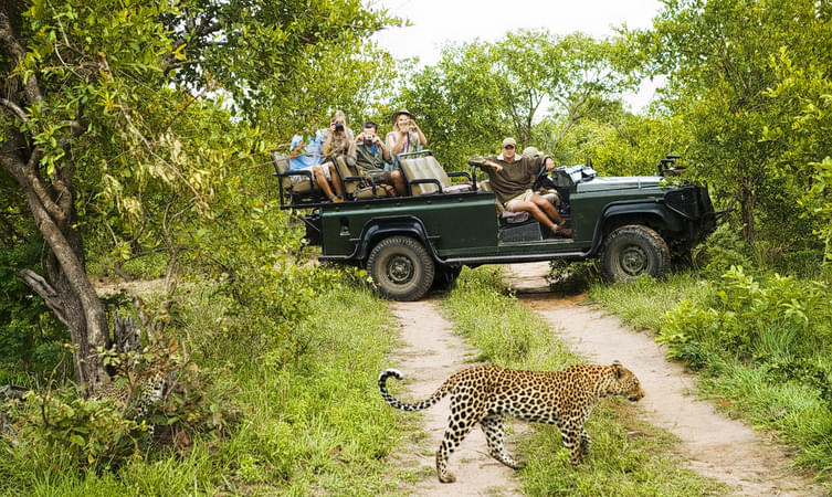 Ranakpur Jungle Safari