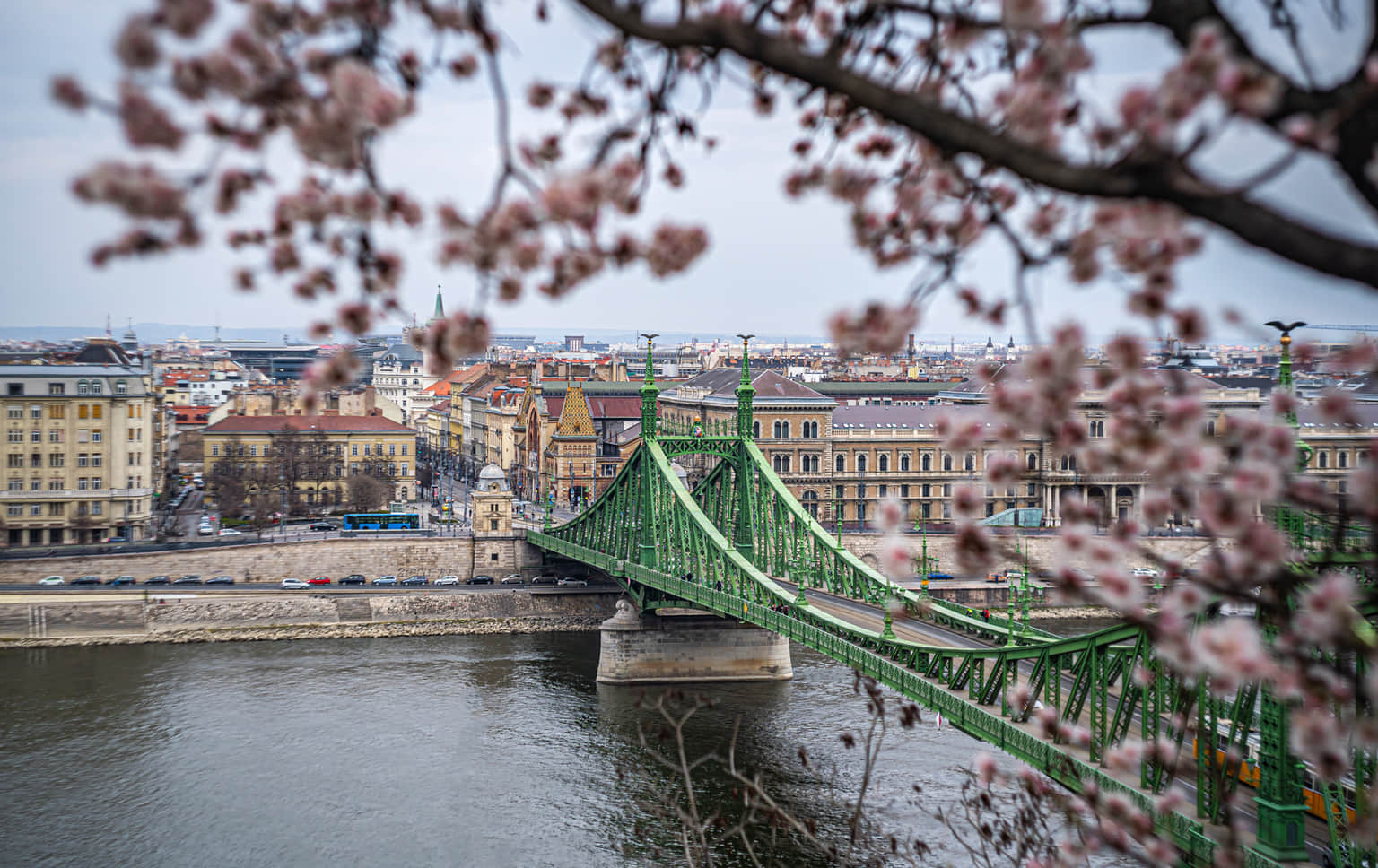 Liberty Bridge , <em>Budapest</em>