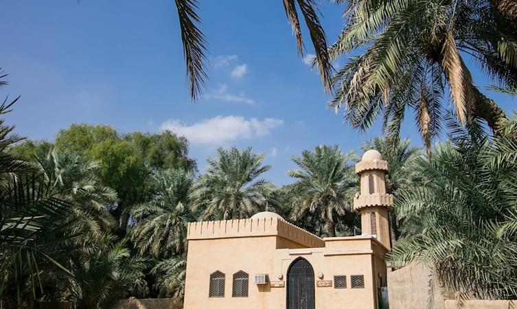 Al Ain Oasis