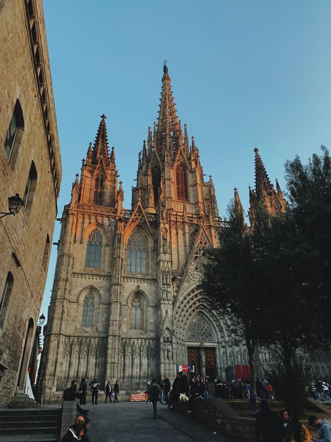 Beautiful Cathedral Of Barcelona