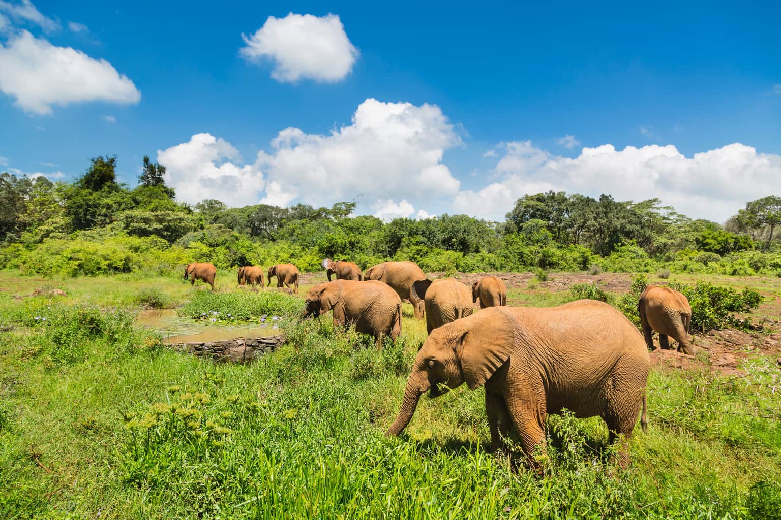 <em>Nairobi</em> Tour Packages From Mumbai