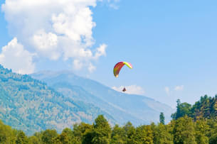 Feel the rush of paragliding adventure in Shimla