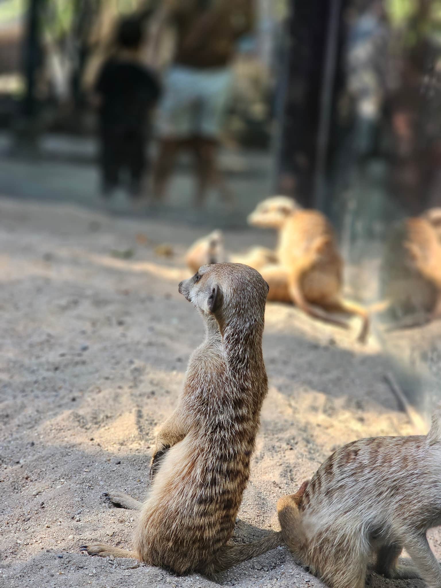 Photo from Vignesh Kumar's trip