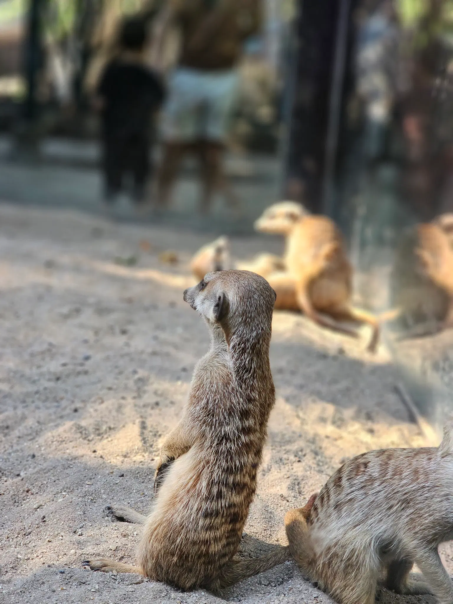 Photo from Vignesh Kumar's trip