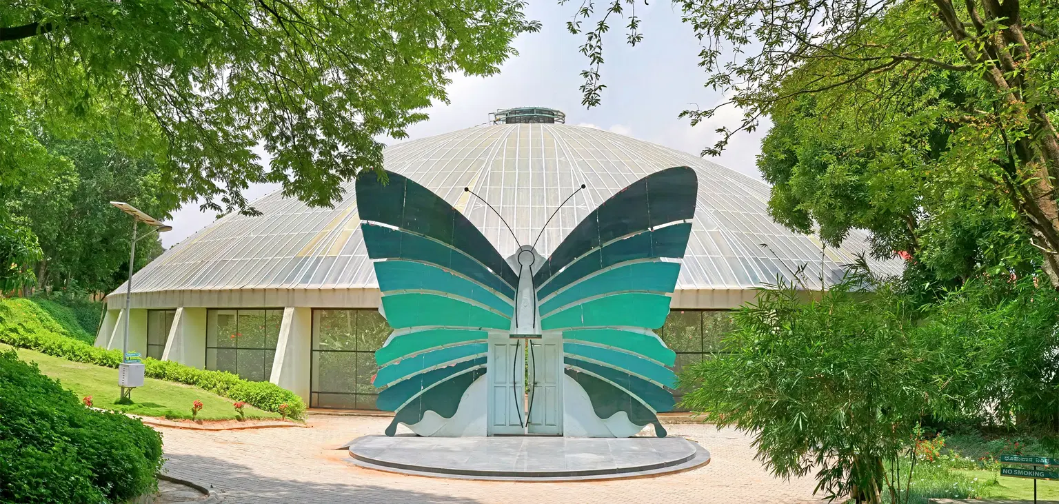 Butterfly Park