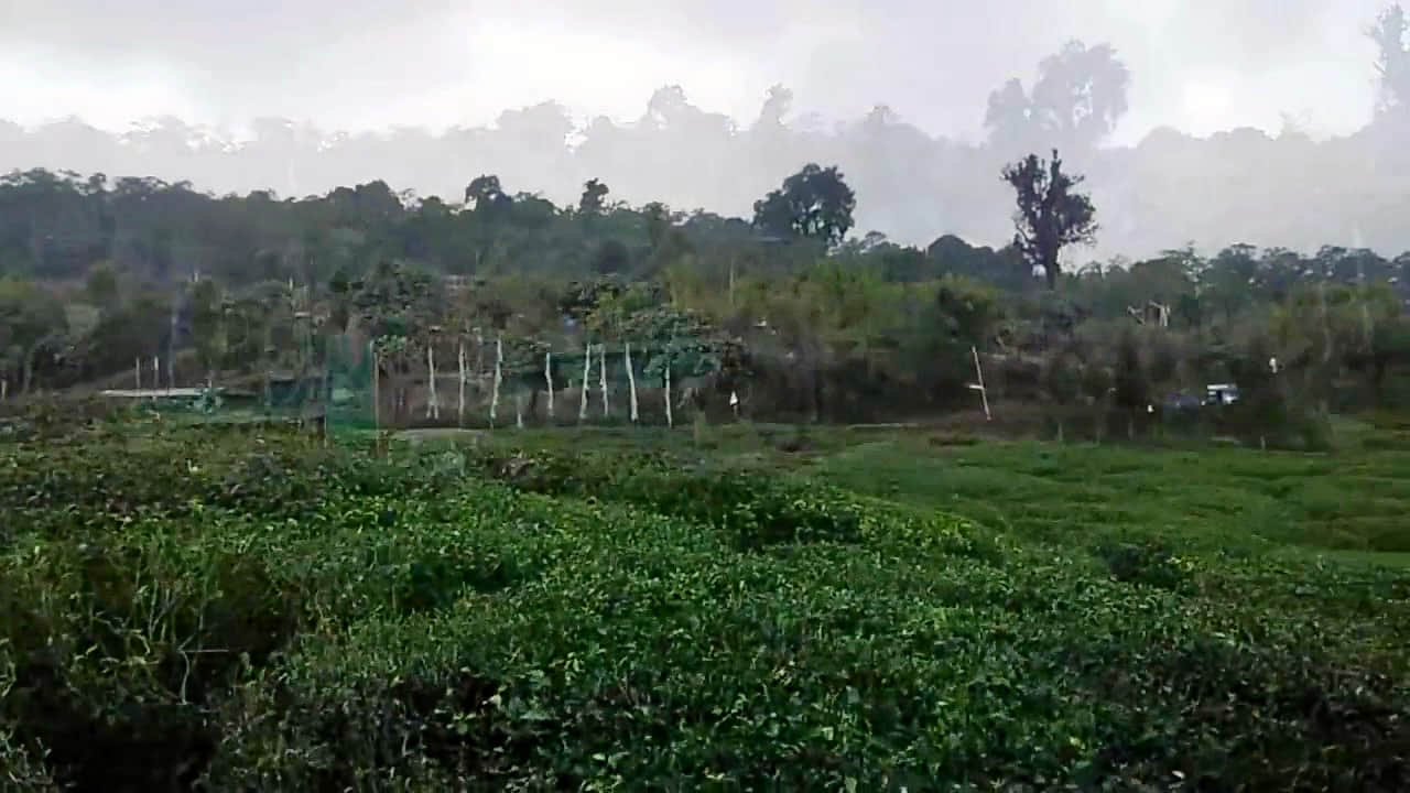 Photo from Ganak Bhattacharya's trip