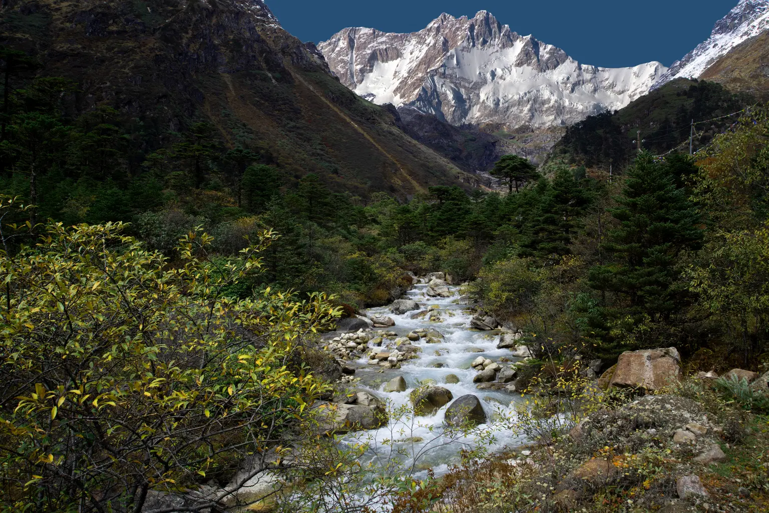 Lachung