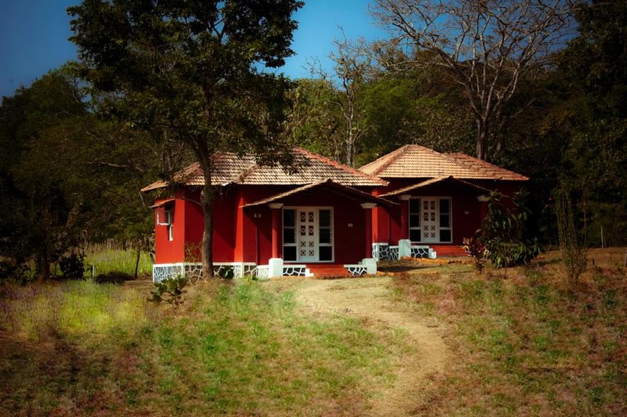 A Wild Vacation Retreat Tucked in Dandeli Forests Image