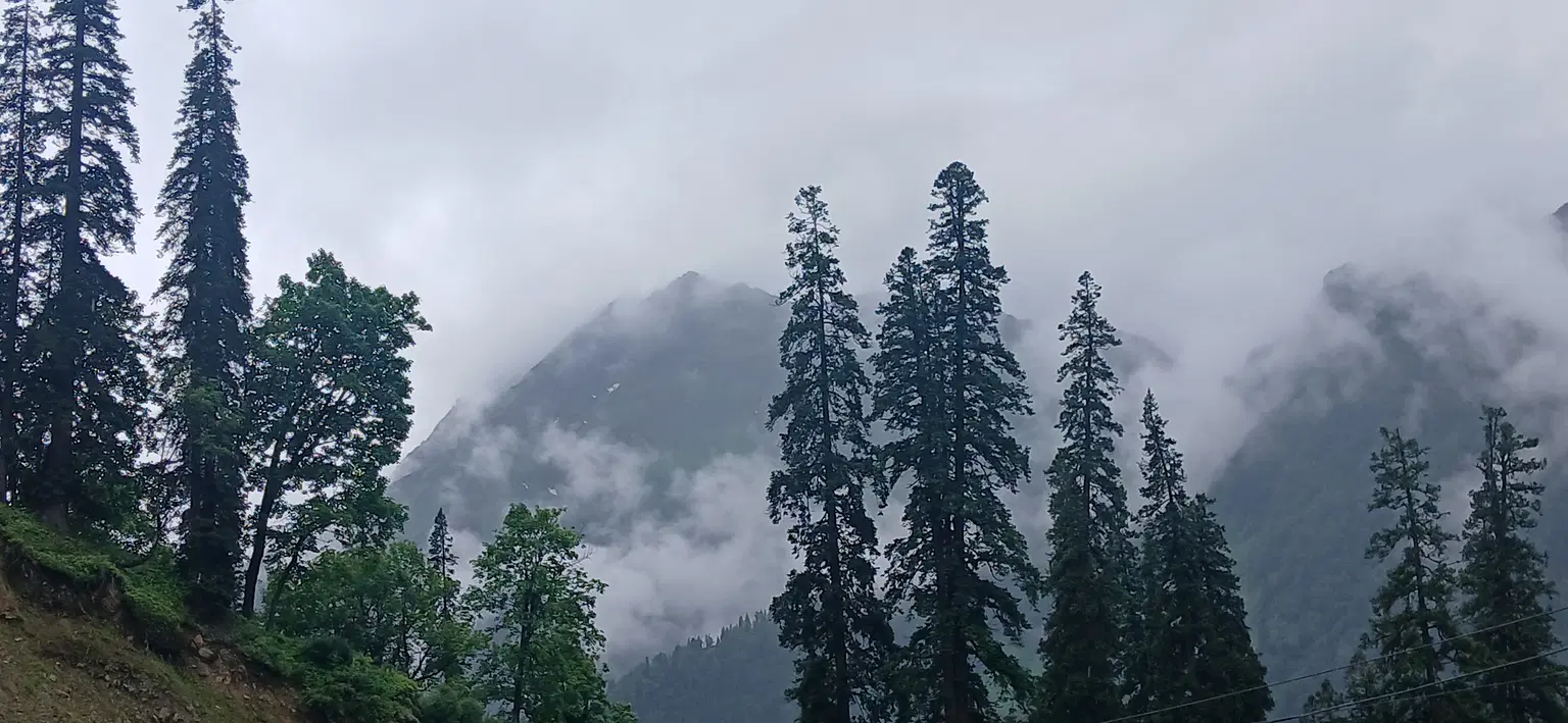 Photo from shobha .'s trip